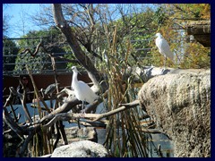 L'Oceanogràfic Oceanarium 099